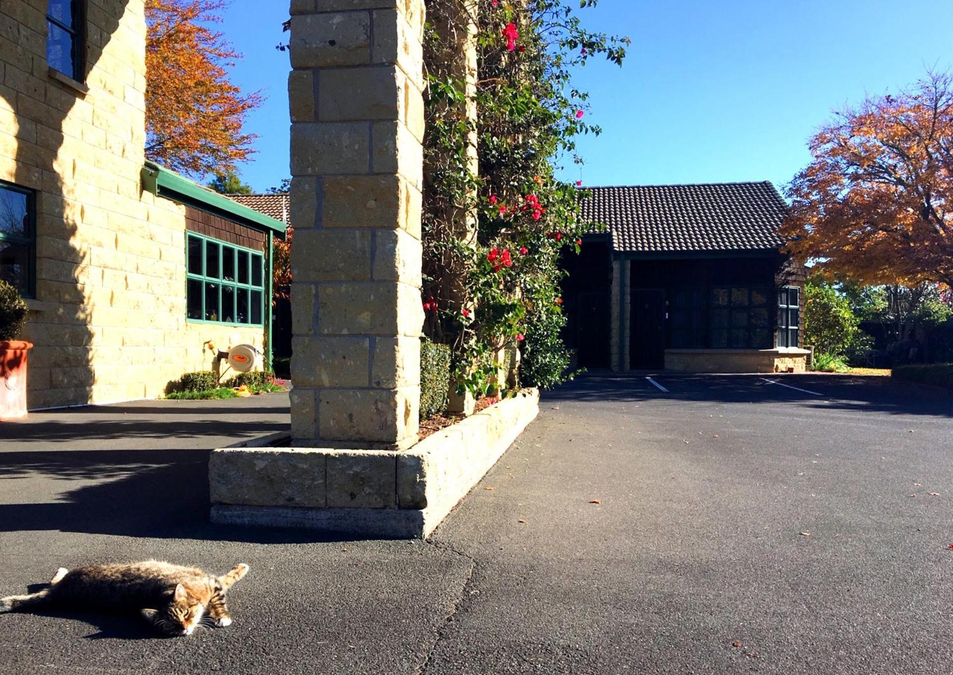 Cambridge Mews Motel Экстерьер фото